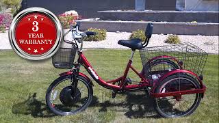 🌟 Ultimate Urban Mobility EW29 Electric Trike Review amp Features 🚲💨  EWheels EW29 [upl. by Teews101]