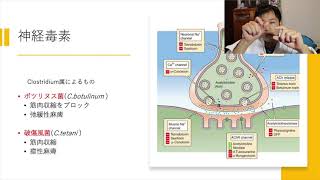 【だれでもわかる細菌学講義 第５回】細菌の毒素 [upl. by Webster]