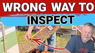 Beekeeping Inspection  5 Wrong Ways To Inspect Your Hive [upl. by Petrine]