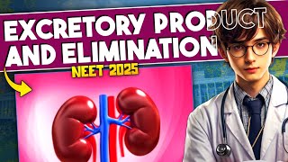 Excretory Products and Eliminations ONE SHOT Revision  Human Physiology ONE SHOT  NEET Biology [upl. by Lichter563]