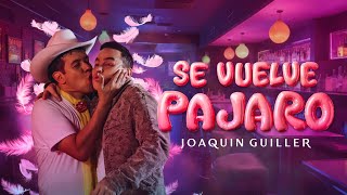 Joaquin Guiller  Se Vuelve Pájaro Video Oficial [upl. by Ludewig]