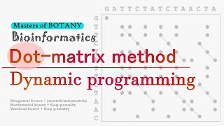 Bioinformatics Dot Matrix Method and Dynamic Programming  Sequence Alignment [upl. by Gemma]