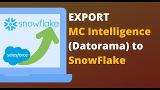 How to export Salesforce Marketing Cloud Intelligence Datorama Data to SnowFlake [upl. by Cedell315]