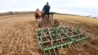 SPRING FIELDWORK 2023 HAS BEGUN  Draft Horse Farming 467 [upl. by Fontes]