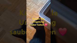 Katzen  Klo einfach amp praktisch 👍 [upl. by Sung194]