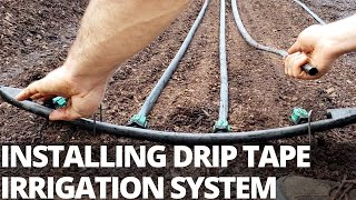 Market Garden Irrigation Installing Drip Tape System [upl. by Timus]