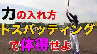 【一石二鳥】トスバッティング練習法この意識がバッティング向上の鍵だ [upl. by Tomi]