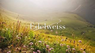 OST The Sound Of Music  Edelweiss Instrumental [upl. by Nolyaj]