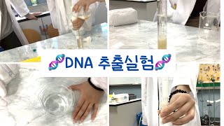 SIF 과학중점 DNA 추출실험 [upl. by Llezo]