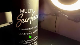 Dollar Tree Multi Surface Peppermint Cleaning Wipes Review [upl. by Salomi864]