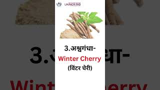 Discover आयुर्वेदिक Plants in English  Herbs के English Names with Pictures  Learn Vocabs shorts [upl. by Eisdnil]