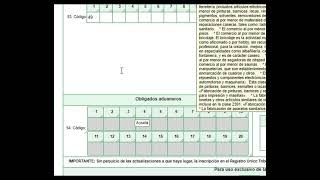 Como Actualizar RUT 2023 Persona Natural [upl. by Nytsirhc377]