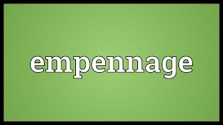 Empennage Meaning [upl. by Kempe]