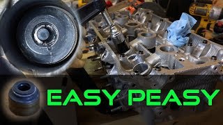 How To Replace Valve Seals  COMPLETE GUIDE [upl. by Gierk]