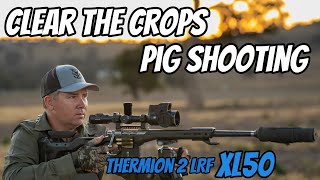 Clear the Crops  Feral Pig amp Fox Shooting  308Win Rifle amp Thermion 2 LRF XL50  Wedgetail Hawk [upl. by Aisats]