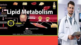 lipid and Phospholipd about mcqs for mdcat best preperation and repeated mcqs [upl. by Namreg]