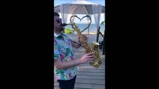 Yanagisawa AW01  Alto Sax Solo  Brazilian Style [upl. by Richma]