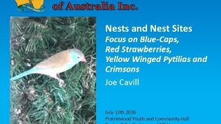 Nests and Nest sites  Joe Cavill [upl. by Levey]