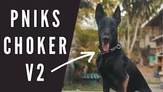 Vlog 175 Tamang pag gamit ng Dog Collars Choker Prong and Flat Collar papsnikstv dogs [upl. by Lumbye]