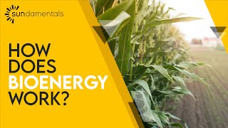 What is Bioenergy [upl. by Ynaffi]