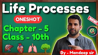 Life Processes class 10 Science Biology  CBSE NCERT  Oneshot [upl. by Wimsatt]