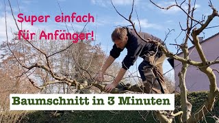 Baumschnitt für Anfänger im eigenen Garten [upl. by Beghtol921]