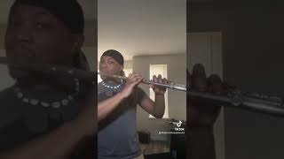 Ninjago theme on flute [upl. by Colfin932]