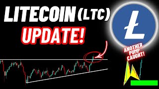 Litecoin LTC Crypto Coin Update [upl. by Shepp348]