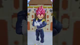 Vegeta Ssj God SH Figuarts Unboxing vegeta vegetassjblue shfiguartsdragonball dragonball dbz [upl. by Eidroj998]