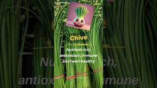 Chives Benefits  Health Benefits of Chives  Benefits of Chives  Chives Health Benefits [upl. by Einner]