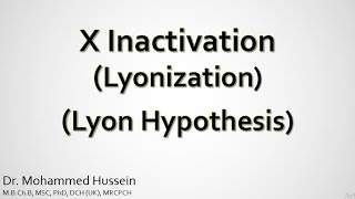 X Inactivation LyonizationSimplified [upl. by Ode]