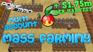 How to MASS PRODUCE Leppa Berries in PokeMMO  Mass Berry Farm Guide [upl. by Eelyab353]