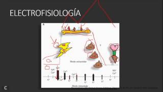 Generalidades de Cardiología MIR ENARM [upl. by Irvin460]