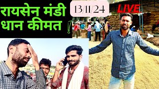 रायसेन मंडी रेट  आज क्या भाव धान बिकी  RAISEN MANDI RET  पूसा बासमती धान रेट कब बड़ेगे  1311 [upl. by Iggem923]