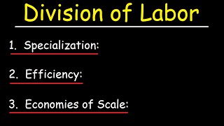 Division of Labor Specialization and Economies of Scale [upl. by Eppesuig]