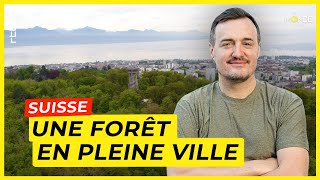 Lausanne  une forêt en pleine ville suisse parmi les plus vertes au monde  Un Monde à part [upl. by Fin]