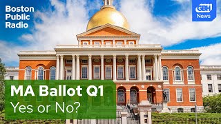 Massachusetts ballot question 1 Auditing the legislature [upl. by Maghutte]