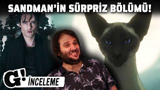 The Sandman 11 Bölüm İNCELEME  KEDİLER DÜNYAYI ELE Mİ GEÇİRECEK [upl. by Aivizt]