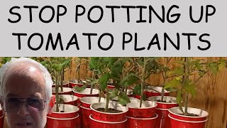 GROW STRONGER TOMATO PLANTS using the DOUBLE CUP METHOD [upl. by Petes446]