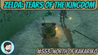 The Legend of Zelda Tears of the Kingdom Switch  Part 553 North of Kakariko [upl. by Atinid]