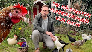 Die häufigsten Fragen zu den Hühnern und zur Hühnerhaltung  Wunschthemen für HAPPY HUHN [upl. by Kitchen]