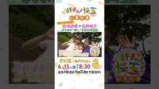 【ショートver】ぱるる 島崎遥香 松井咲子 元akb48 アンゴラ村長 にゃんこスター 小堺翔太 岡本寛志 いまたま 埼玉県 埼玉 shorts [upl. by Ahseel]