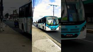 MARAPONGA TRANSPORTES FORTALEZA 26601 MERCEDES NEOBUS SP U 2015 neobus fortaleza ceará shorts [upl. by Nnoryt]