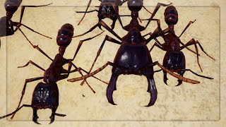 Driver Ants are INSANE in Empires Of The Undergrowth [upl. by Aid844]