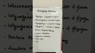 Carbohydrate Metabolismcarbohydratemetabolism metabolismpathways pathway [upl. by Rosanna]