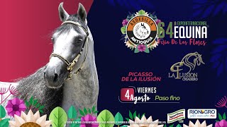 64º EXPOINTERNACIONAL EQUINA FERIA DE LAS FLORES  DIA 3  PASO FINO COLOMBIANO [upl. by Las]