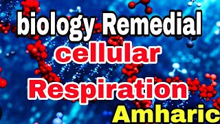 🔴Remedial BiologyCellular RespirationChapter three for remedial students part 6Ethiopia [upl. by Uttasta]