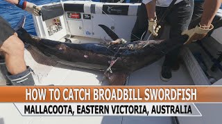 Fishing Edge episode  How To Catch Broadbill Swordfish [upl. by Marola532]