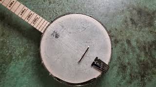 How To Set Your Banjo Intonation [upl. by Angrist]