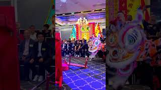 Lion Dance Show [upl. by Becky]